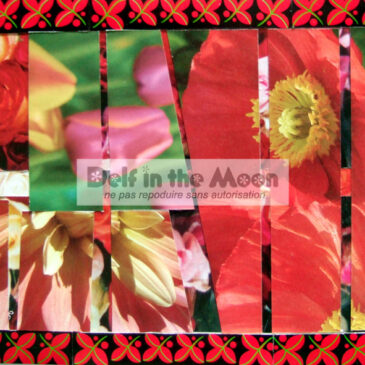 Collage 3