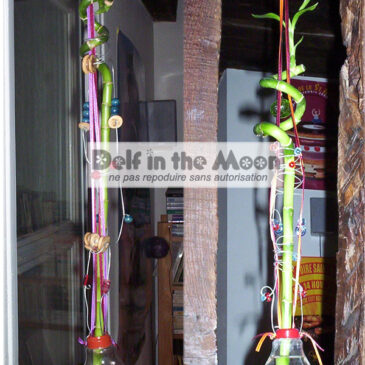 Ampouliflores
