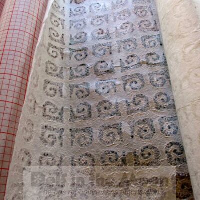le papier choisi et le polyphane