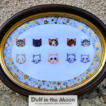 Cadre 5 chattes