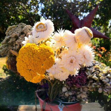 Bouquets secs